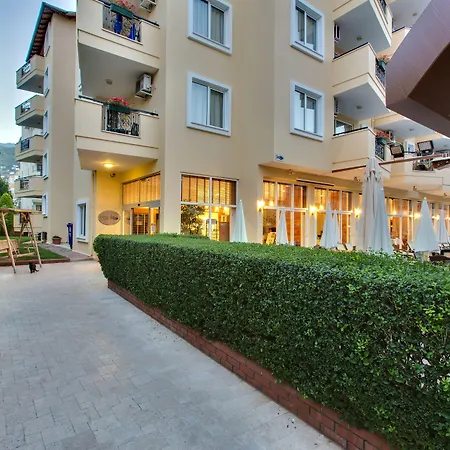 Novella *