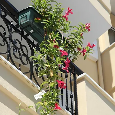 Novella ألانيا