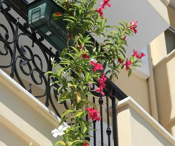 Novella Alanya