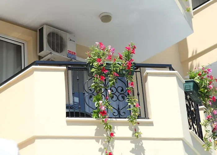 Novella Alanya