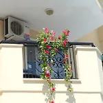Novella 알란야